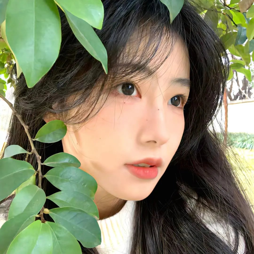 阳光以西